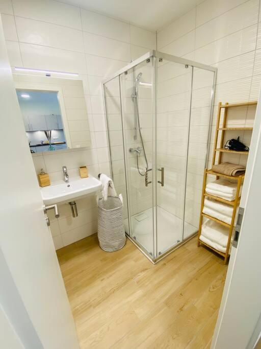 Apartment New 2023 One Bedroom Flat W Free Parking Luxembourg